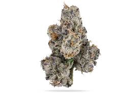 BUBBLE GUM GELATO THCA HEMP FLOWER